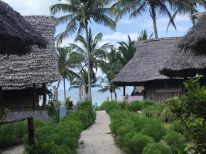 Mafia Beach Bungalows Budget Accommodation